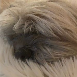 Meet your Posher, Reid